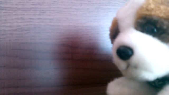 Смешная собачка смотреть онлайн