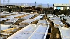 Мухоршибирь - 95-летию района посвящается...