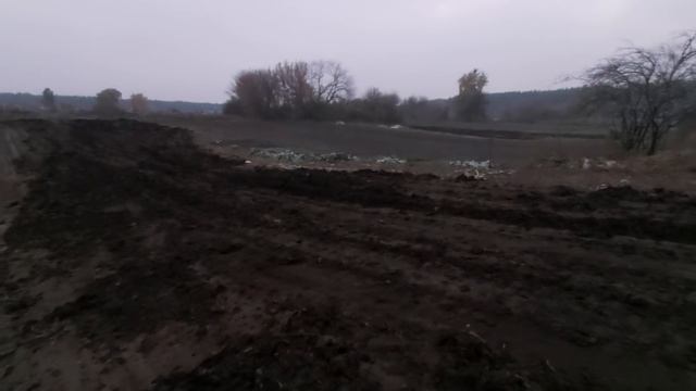 Ходил по грибы!! Удобрили огород! Кормление уток! смотреть онлайн