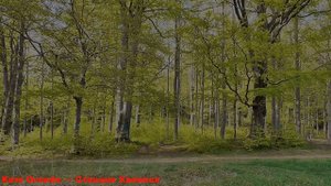 Катя Огонёк — Станция Хакинск