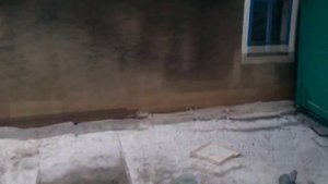 Торцовые голуби донецкая область