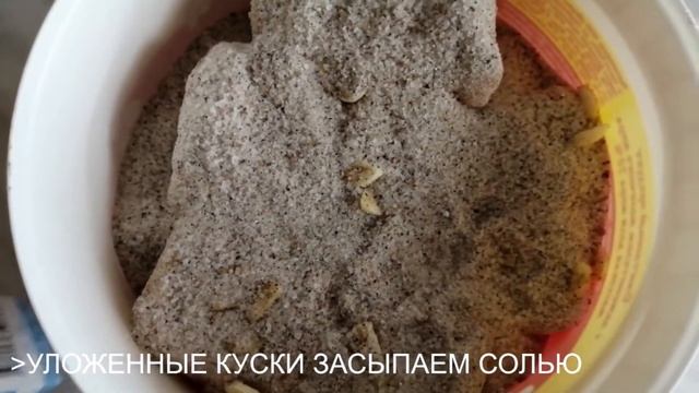 Теперь я солю это сало только таким способом! Всем нравится соленое сало.