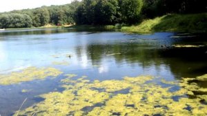 Нижний Новгород, лесопарк Щёлковский Хутор\Nizhnie Novgorod? forest park Shchelrovsiy