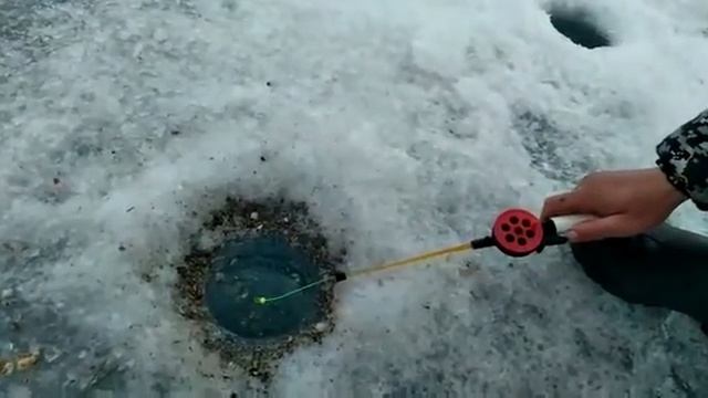 Зимняя рыбалка,весенний клев ,чебак ! смотреть онлайн