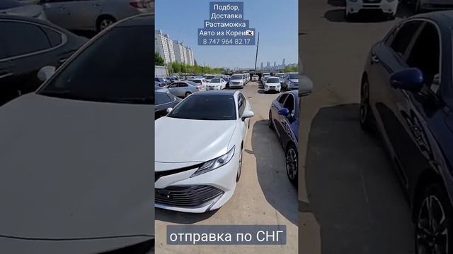 Подбор,Доставка,   Растаможка  Авто из Южной Кореи ??