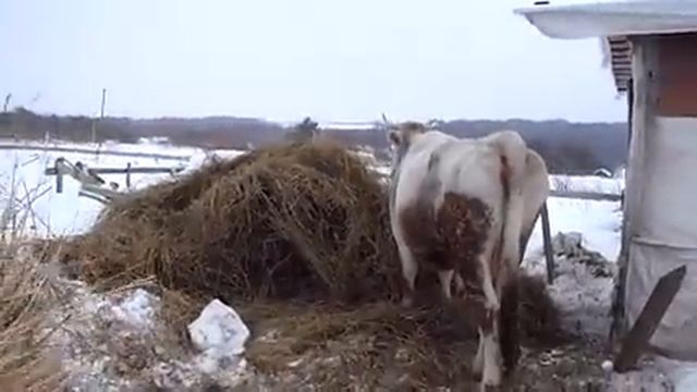 Про мой сбыт. смотреть онлайн