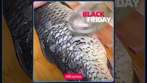 Рыбачистка