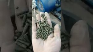 видео от заказчика Алексея, гранулирование комбикорма для кроликов
