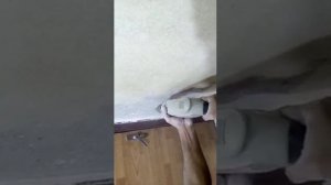 Очистка стен от краски