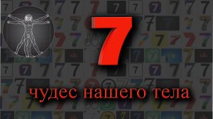 7 чудес нашего тела