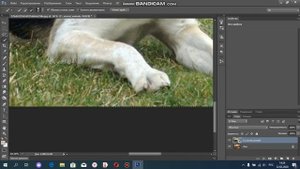 Как вырезать объект и переместить его на другой фон в фотошопе