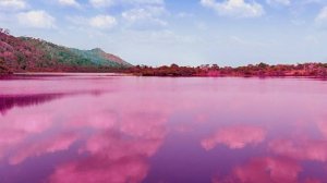 Река Червленая под Волгоградом окрасилась в кровавый цвет