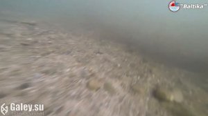 Underwater - Берестовое