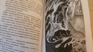 Обзор на книгу Коты Воители "Месть Кленовницы" Эрин Хантер Сборник Повестей "Нерассказанные Истории