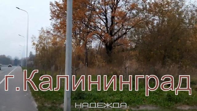 г.Калининград. ОСЕНЬ. НОЯБРЬ.ВЕЧЕР СУББОТЫ. ПРОГУЛКА. смотреть онлайн