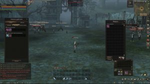 Стартуем за Жреца Евы (ее) в Lineage 2 MAIN