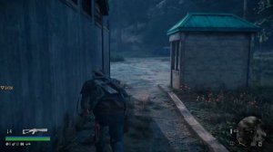 Days gone ps4 pro / Жизнь после пс4 про (прохождение, стрим #1)