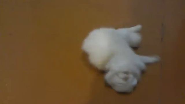 яша тащится от маслин смотреть онлайн