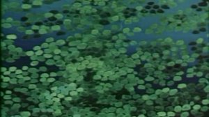 Արջը: Медведь-липовая нога հայերեն