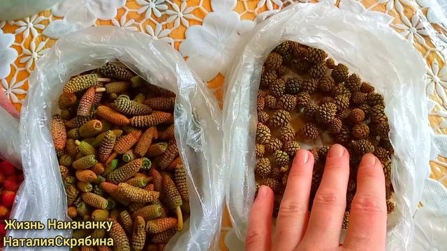 ТУШЁНАЯ КАРТОШКА.ЧЕСНОК.СИВЕРИХА.
