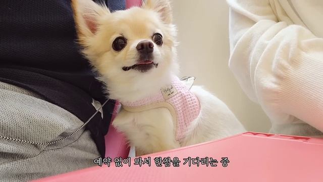 일본 도쿄 브이로그 l 무인양품 마트에서 장보고 건강한 집밥 만들어 먹는 도쿄 일상 브이로그