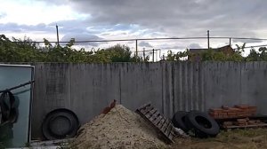 Охота на белку