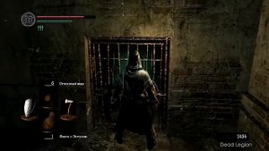 КОЛЬЦО ЗАЩИТЫ И ПОДДЕРЖКИ  - [Dark Souls]
