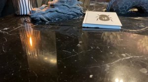 Что происходит с Душами животных после Смерти