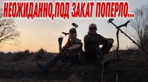 Неожиданно, под закат поперло... В поисках монет и старины. 9.04.24г