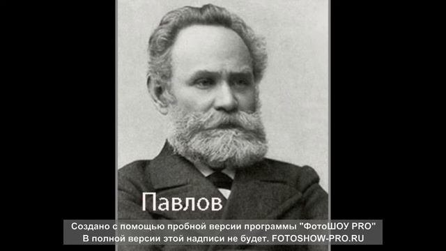 Известные психологи