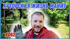 Последние новости с хутора. Нашёл ногу для журавля. #хочувдеревню #хутор