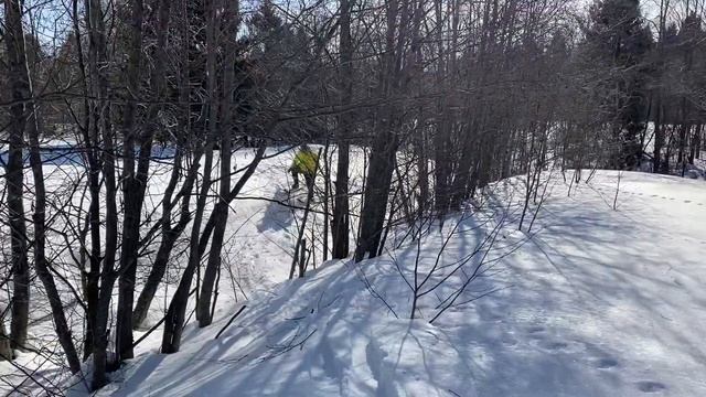 Лыжи охотничьи Деревопластик с полосой камуса (6 см )! смотреть онлайн