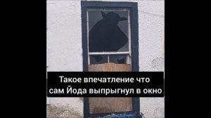 Просто смешные картинки