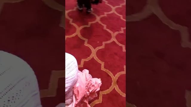 Мейрамбек Айзере Айсана Ерманкызы смотреть онлайн