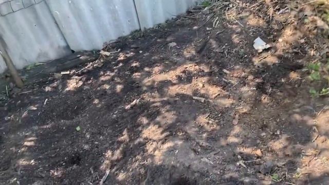 КУПИЛИ ЗАБРОШЕННУЮ ДАЧУ/НОВЫЙ ДАЧНЫЙ ТУАЛЕТ/РОЕМ ВЫГРЕБНУЮ ЯМУ/ РЕМОНТ ДАЧНОГО ДОМИКА