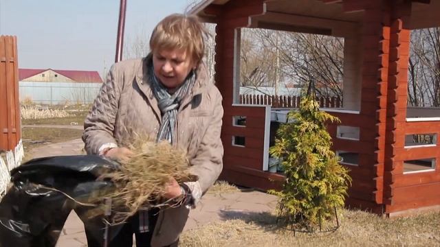 Уход за газоном весной ✔️ Газон после зимы
