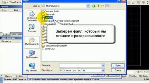 Импорт исторических данных в программу Forex Tester 2