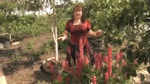 Лидия Изекеева — Юнашар ăшăрах