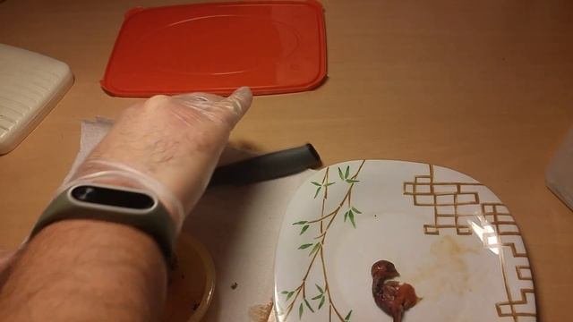 Слабонервным не смотреть!18+ Окончание эксперимента по выведению перепелов в квартире.