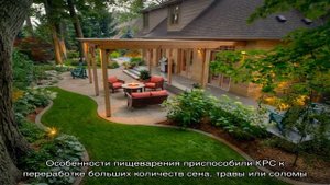 Содержание коровы на приусадебном участке