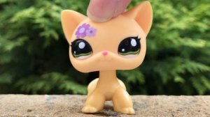 LPS: КУПИЛА СВОЮ МЕЧТУ! ?