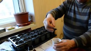 ПАСТЕРНАК: ПОЛЕЗНЫЕ СВОЙСТВА, КАК ВЫРАСТИТЬ ДОМА