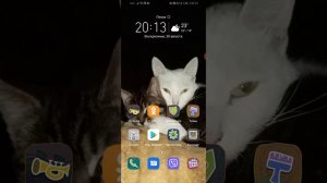 КАК СНИМАТЬ ВИДИО ОТ ПЕРВОГО ЛИЦА В ИГРАХ!?