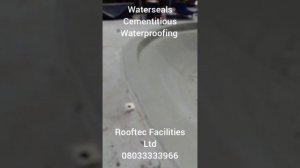 WATERSEALS CEMENTITIOUS WATERPROOF COATING