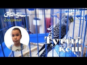 ЗООДӨНЬЯ: тутый кош / Попугай / Parrot