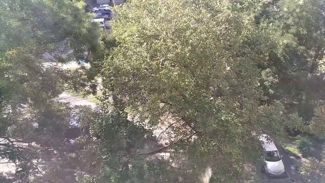 ЗАПОРОЖЬЕ ЧУДОМ ОСТАЛИСЬ ЖИВЫ РОДИЛИСЬ В РУБАШКЕ 12.08.23 смотреть онлайн