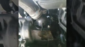 Ford Escape 2005, 2.3l thermostat location.