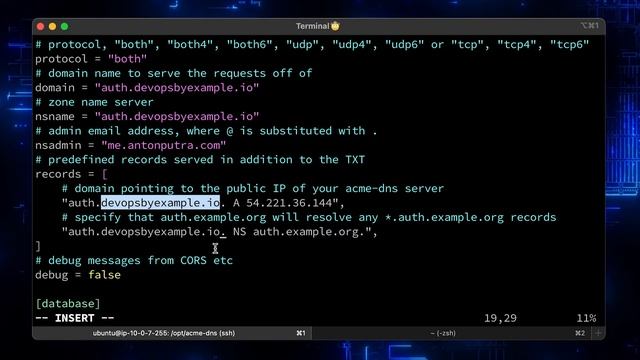 How to Setup Auto-Renew for Letsencrypt WILDCARD Certificate with DNS challenge? acme-dns | certbot смотреть онлайн