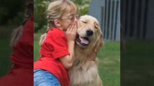 Подарите  мне  собаку ...