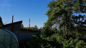 УТРО НА ДАЧЕ! ПЕНИЕ ПТИЦ.